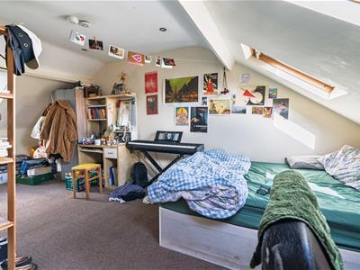 Picture 13